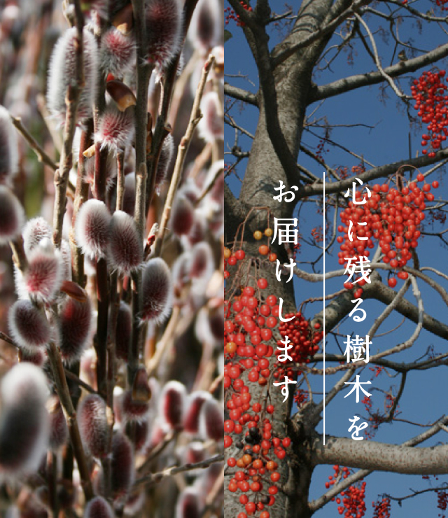 有限会社 大門殖産園