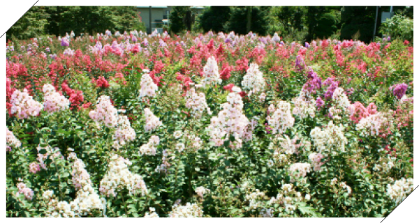 環境と教育への貢献